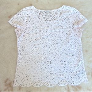 White cotton eyelash lace scalloped hem tee